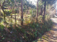 Продается земельный участок у моря в Бобоквати, Грузия. Вид на море. Фото 3