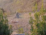 Купить частный дом в курортном районе Цхалтубо, Грузия. Фото 18