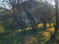 Private house for sale with a small plot of land in Lanchkhuti district, Georgia. Photo 20