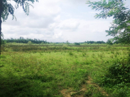 Land parcel, Ground area for sale in Natanebi, Georgia. Photo 4