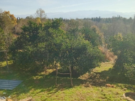 იყიდება კერძო სახლიმიწის ნაკვეთით ნატანებში, საქართველო. მანდარინის ბაღი, ხილის ბაღი.  ფოტო 11