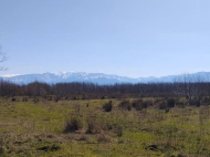 Продается земельный участок в Натанеби, Грузия.  Фото 2