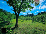 Земельный участок в Чакви. Выгодно для инвестиций в Чакви. У реки. Фото 2