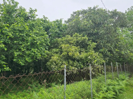 Land plot for sale in the suburbs of Zugdidi, Georgia. Photo 3