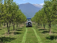 An existing agricultural complex for sale. Lagodekhi, Georgia. Photo 2