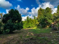 Земельный участок для инвестиций в Махинджаури, Аджария, Грузия с прекрасным видом Фото 1