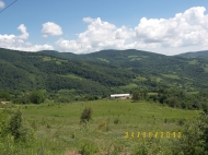 Sold a ready farm with a plot of 15 hectares Photo 5