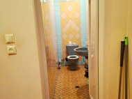 Продается дом с земельным участком в Озургети, Грузия. Фруктовый сад. Фото 8
