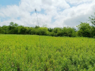 House for sale with a plot of land in the suburbs of Senaki, Georgia. Near the river. Photo 2