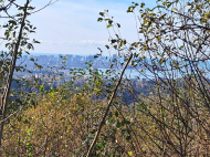 Land parcel, Ground area for sale in a resort district of Makhinjauri, Georgia. Land with sea view. Photo 8