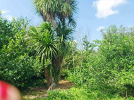 Купить частный дом с земельным участком в Натанеби, Грузия. Фото 22