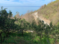 Продается земельный участок у моря в Квариати, Грузия. Вид на море. Фото 3