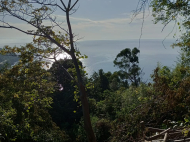 Продается земельный участок у моря в Квариати, Грузия. Вид на море. Фото 9