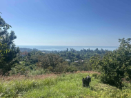 Продается земельный участок у моря. Букнари, Грузия. Участок с видом на море. Фото 2