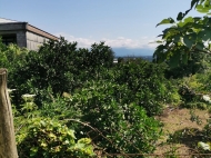 Купить частный дом с земельным участком в пригороде Озургети, Грузия. Фото 17