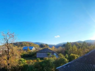 House for sale with a plot of land in the suburbs of Lanchkhuti, Georgia. Photo 12