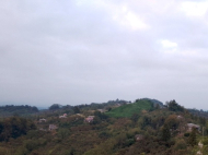 Купить дом с земельным участком в пригороде Озургети, Грузия. Фото 7