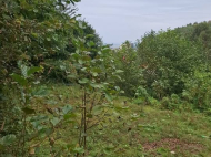 იყიდება მიწის ნაკვეთი ზღვაზე კვარიათში, საქართველო. ზღვის ხედებით. ფოტო 3