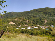 Купить дом в курортном районе Кутаиси, Грузия. У реки. Фото 4