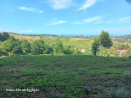 იყიდება მიწის ნაკვეთი სახალვაშო, საქართველო. ფოტო 3