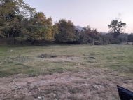 Купить земельный участок в пригороде Батуми, Грузия. Фото 2