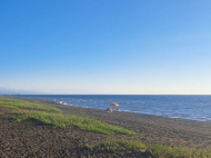 Участок у моря в тихом районе Шекветили, Грузия. Продаётся ресторан в Шекветили, Грузия. Действующий бизнес. Пляж с уникальным черным магнитным песком. Фото 2