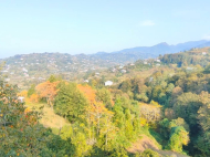 Продаётся двухэтажный частный дом в окрестностях Кобулети. Фото 12