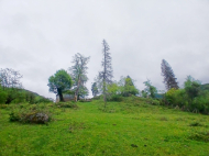 Купить частный дом в курортном районе Кутаиси, Грузия. Фото 2