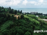 Продается земельный участок у моря в Махинджаури, Грузия. Фото 2
