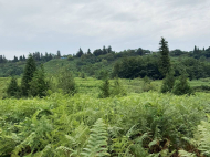 Land parcel for sale in Ozurgeti, Georgia. Photo 5