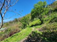 Дом с участком в Хелвачаури. Дом с мандариновым и фруктовим садом в Хелвачаури, Грузия. Фото 4