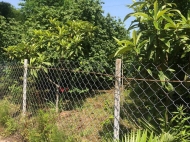 Продается частный дом с земельным участком в Ланчхути, Грузия. Фруктовый сад. Ореховый сад. Фото 17