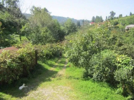 House for sale with a plot of land in the suburbs of Batumi, Georgia. Tangerine garden, Orchard. Walnut garden. Vineyard. Near the river. Photo 4