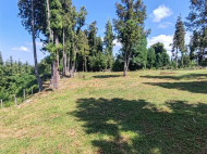 მიწის ნაკვეთი კურორტულ ზონაში ურეკში, საქართველო. ფოტო 7