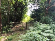 Land parcel, Ground area for sale in Mukhaestate, Georgia. Tangerine garden. Photo 5