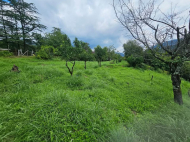 Земельный участок у моря в Чакви. Земельный участок у реки в Чакви, Грузия. Фото 4