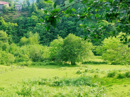 Land parcel, Ground area for sale in the suburbs of Batumi. Akhalsheni. Near the river. Natural spring. Photo 13