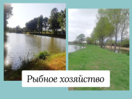 Land parcel, Ground area for sale in the suburbs of Khashuri, Georgia. Fish farm.   Photo 2