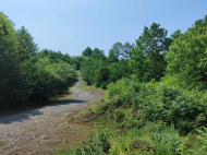 Land parcel, Ground area for sale in the suburbs of Lanchkhuti, Georgia. Photo 6