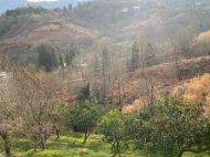 Купить земельный участок в пригороде Батуми, Грузия. Фото 1