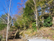 ვიყიდი კერძო სახლს საკურორტო რაიონში ბობოყვათში, საქართველო. ბუნებრივი წყარო, მანდარინის ბაღი, ხილის ბაღი, თხილის ბაღი. ფოტო 13