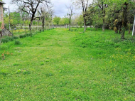 House for sale with a plot of land in the suburbs of Senaki, Georgia. Orchard. Walnut garden. Near the river. Photo 11