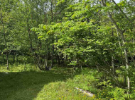 House for sale with a plot of land in the suburbs of Ozurgeti, Georgia. Photo 5