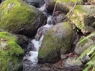 House for sale with a plot of land in Bobokvati, Georgia. Natural spring. Near the river. Sea view. Photo 5