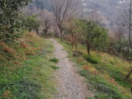 იყიდება მიწის ნაკვეთი ზღვასთან. მწვანე კონცხი, საქართველო. ზღვის ხედებითაა მიწა.  ფოტო 5