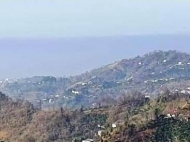 Продается земельный участок в пригороде Батуми, Грузия. Вид на море и горы. Фото 1