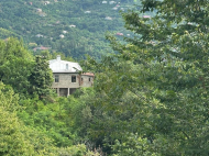 იყიდება სახლი მიწის ნაკვეთით კვირიკეში, საქართველო. თვალწარმტაცი ადგილი, ტყიანი ტერიტორია, მდინარის მახლობლად. ფოტო 22