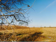 House for sale with a plot of land in the suburbs of Poti, Georgia. Near the river. Photo 10