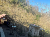 Купить дом с земельным участком в пригороде Ланчхути, Грузия. Мандариновый сад, Фруктовый сад. Ореховый сад. Фото 4