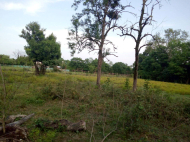 Купить дом с земельным участком в пригороде Самтредиа, Грузия. Фото 4